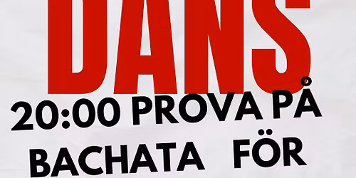 Social Dans Salsa & Bachata