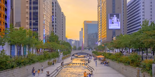 Solo travellers: casual hangout in Seoul (4pm)