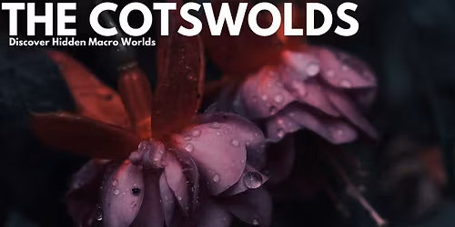 The Cotswolds - Macro photography