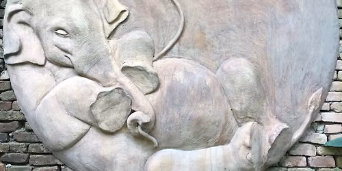 Yin Yoga & Yoga Nidra 