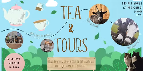 Tea & Tours