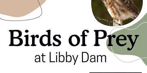 Birds of Prey Day, Sunday, May 31 