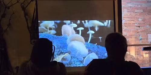 Free! Movie Night at Mush Love, Tee - Have a Nice Trip