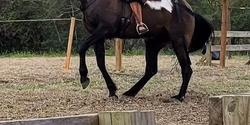 Vigil of Apollonia Zwamstriker and Northern Vigil of Leonor Cuerva de Segovia y Avila