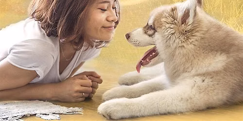 Animals Are Souls Too!