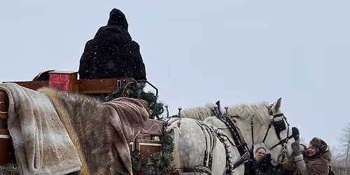 Winter Horse Rides in Vineyard