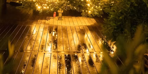 \ud83c\udf84Juletr\u00e6st\u00e6nding d. 16. november\ud83c\udf84