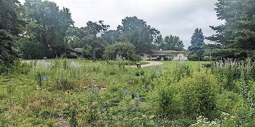 Spring Weeding at Ehlen Park Pollinator Habitat