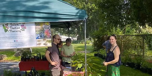 Native Plants Sale