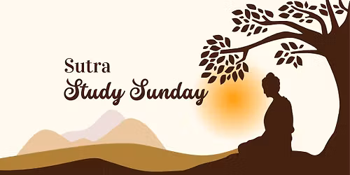 Sutra Study Sunday \u2013 Si\u1e43ha\u2019s Questions