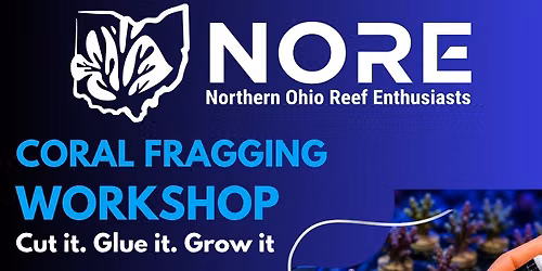 NORE Coral Fragging Workshop