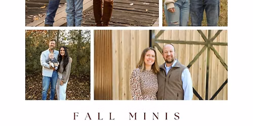 Fall Minis
