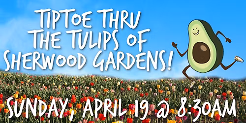 Annual Tiptoe thru the Tulips!