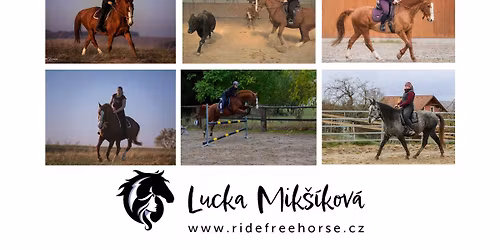 Teorie jezdeck\u00e9ho sedu II. - Cesta k funk\u010dn\u00edmu sedu a drezurn\u00ed pr\u00e1ci