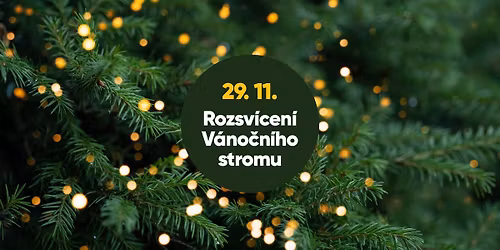 Sobota 29. 11. 2025 \u2013 Rozsv\u00edcen\u00ed v\u00e1no\u010dn\u00edho stromu, Velk\u00e1 \u00dapa