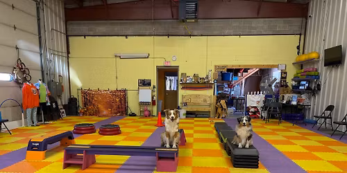 Anywhere Parkour Workshop