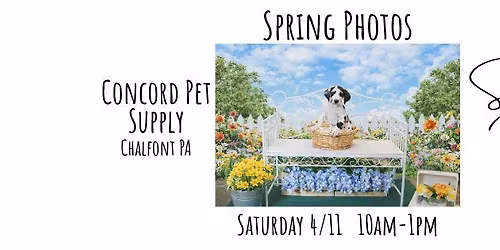 Spring pics at Concord Pet Supply - Chalfont