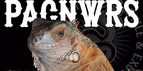 PACNWRS - Pacific Northwest Reptile & Exotic Animal Show Puyallup