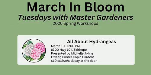 Tuesdays with Master Gardeners: All About Hydrangeas