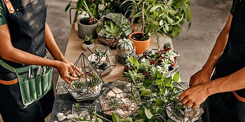 Women in Business Saffron Walden | Terrarium & Tipple