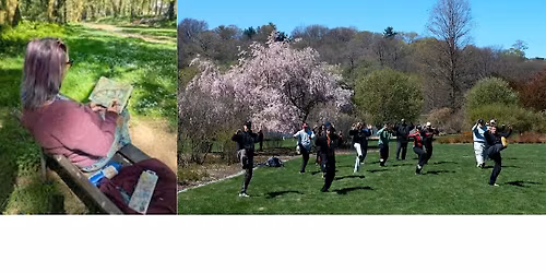 Lunchtime in the Park
