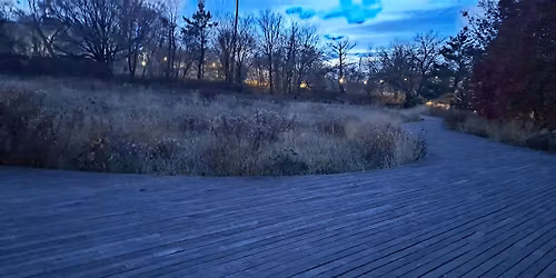 Solstice Tree Walk: Trees of the NCL