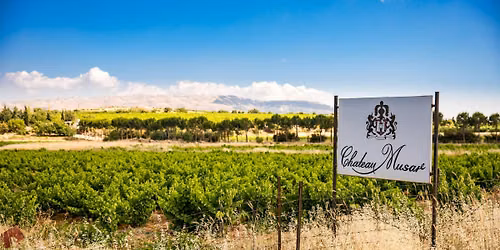 Ch\u00e2teau Musar Tasting & Seminar with Marc Hochar
