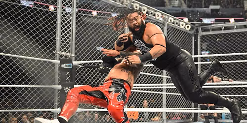 WWE: Survivor Series
