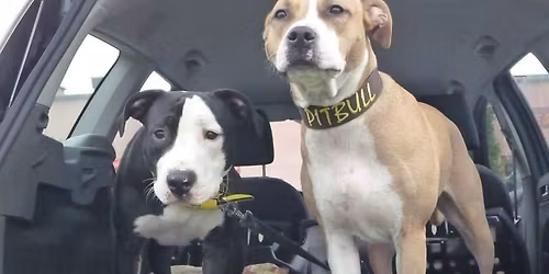 Bull Sport Challenge 2026\/1