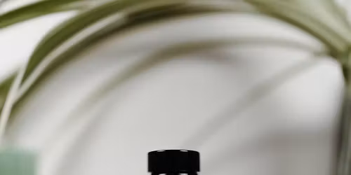 Elderberry Syrup Making