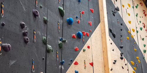 Jakten p\u00e5 p\u00e5skeegget \ud83e\udd5a\ud83d\udc25