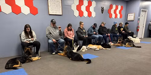 6 Week Train & Play Group Class