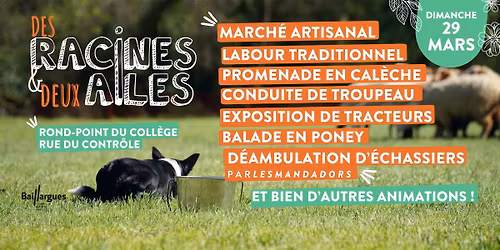 Des Racines et Deux Ailes