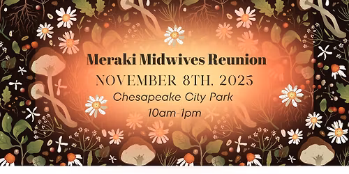 Meraki Midwives Reunion