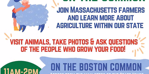 Livestock on the Common