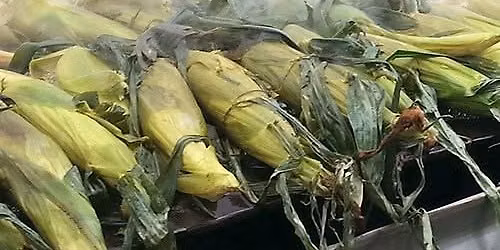 Corn Roast, Brat Fry & School Supply Drive