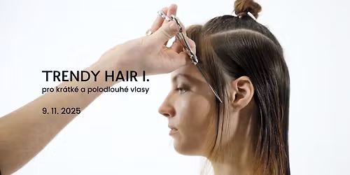 TRENDY HAIR I. Pro kr\u00e1tk\u00e9 a polodlouh\u00e9 vlasy