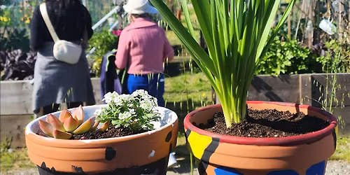 Paint Pots & Plants!