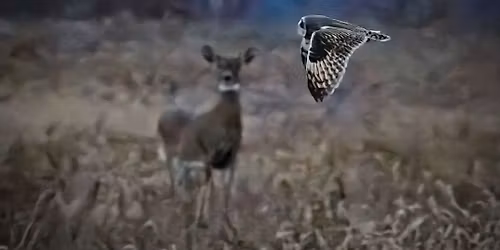 Photography Lesson In the Field w\/ Madi Hawn: Fireworks and Night Photography