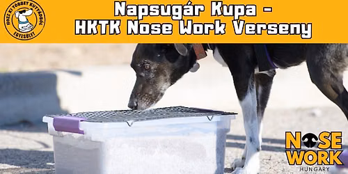 Napsug\u00e1r Kupa - Nose Work verseny