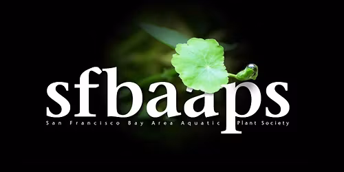 sfbaaps meet @ Infinite Aquarium