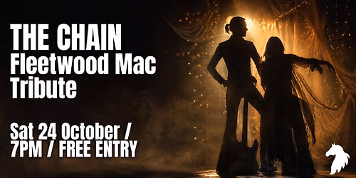 \ud83c\udfb6 FLEETWOOD MAC & STEVIE NICKS TRIBUTE NIGHT
