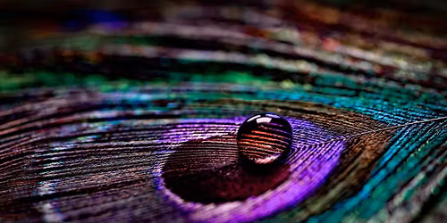 R\u00fcckkehr zur Sinnlichkeit - Biodanza Erlebniswochenende