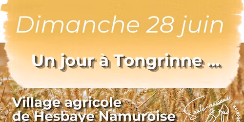 Un jour \u00e0 Tongrinne - village agricole de Hesbaye namuroise
