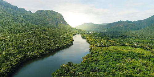 Aligning the nature and climate agendas