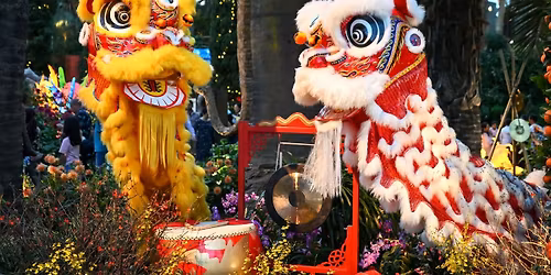 Horseh Year - Lion Dance Performance