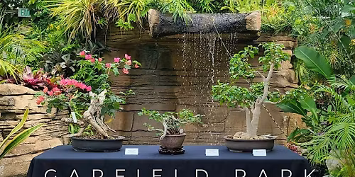 Spring Bonsai Show at Garfield Park Conservatory