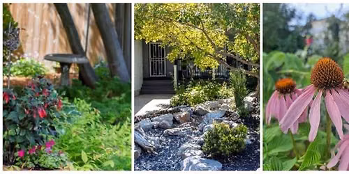 Yardsmart: Beginner's Guide to Xeriscape and Low-Water Gardening 
