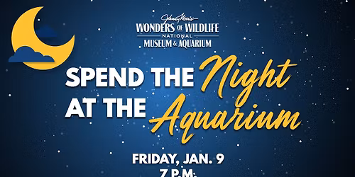 Spend the Night at the Aquarium! 21+