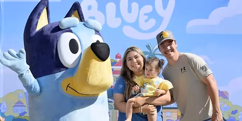 Bluey Night